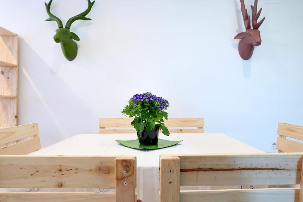 apartamento bonito