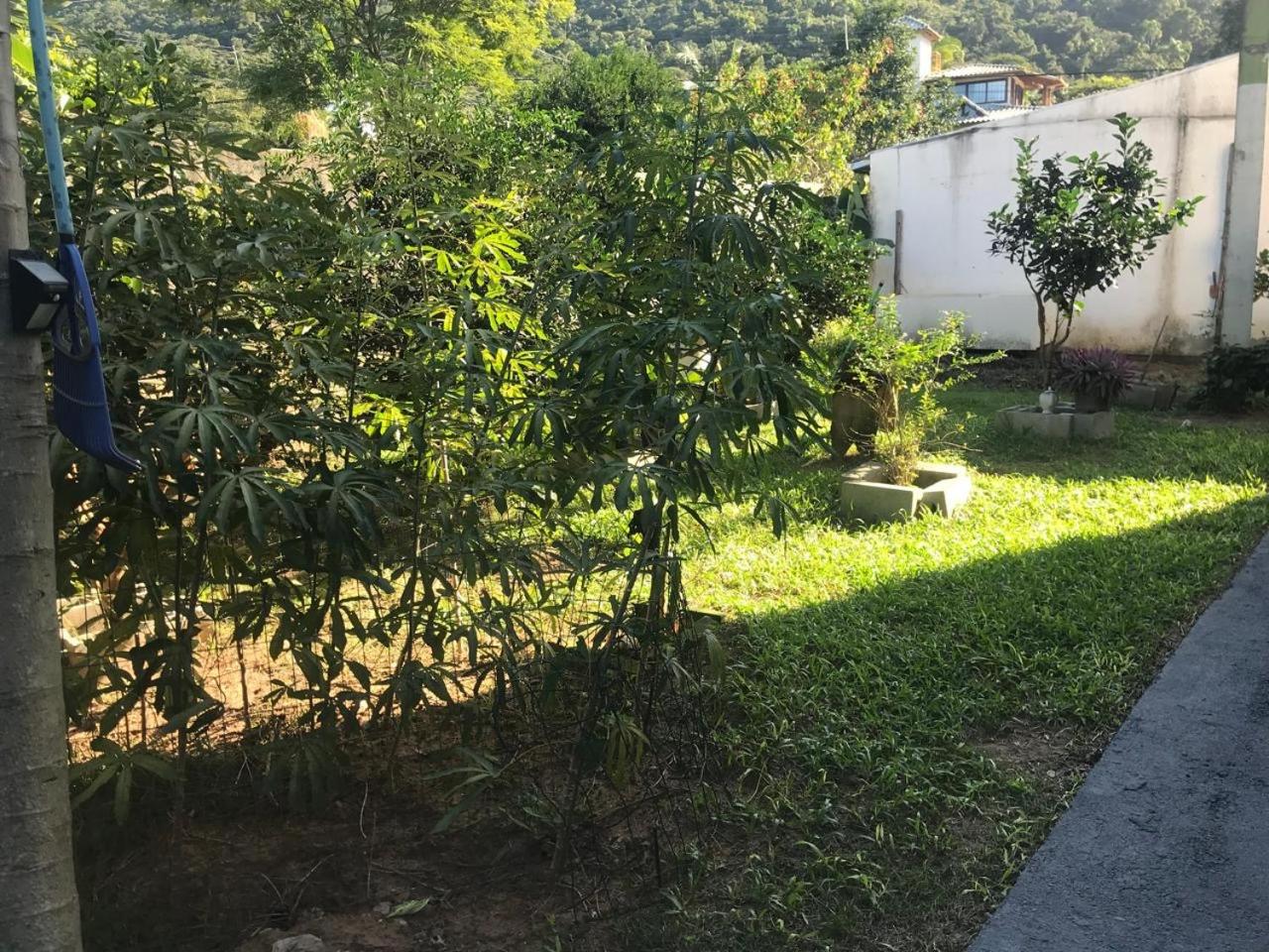 Paraíso da Joaninha