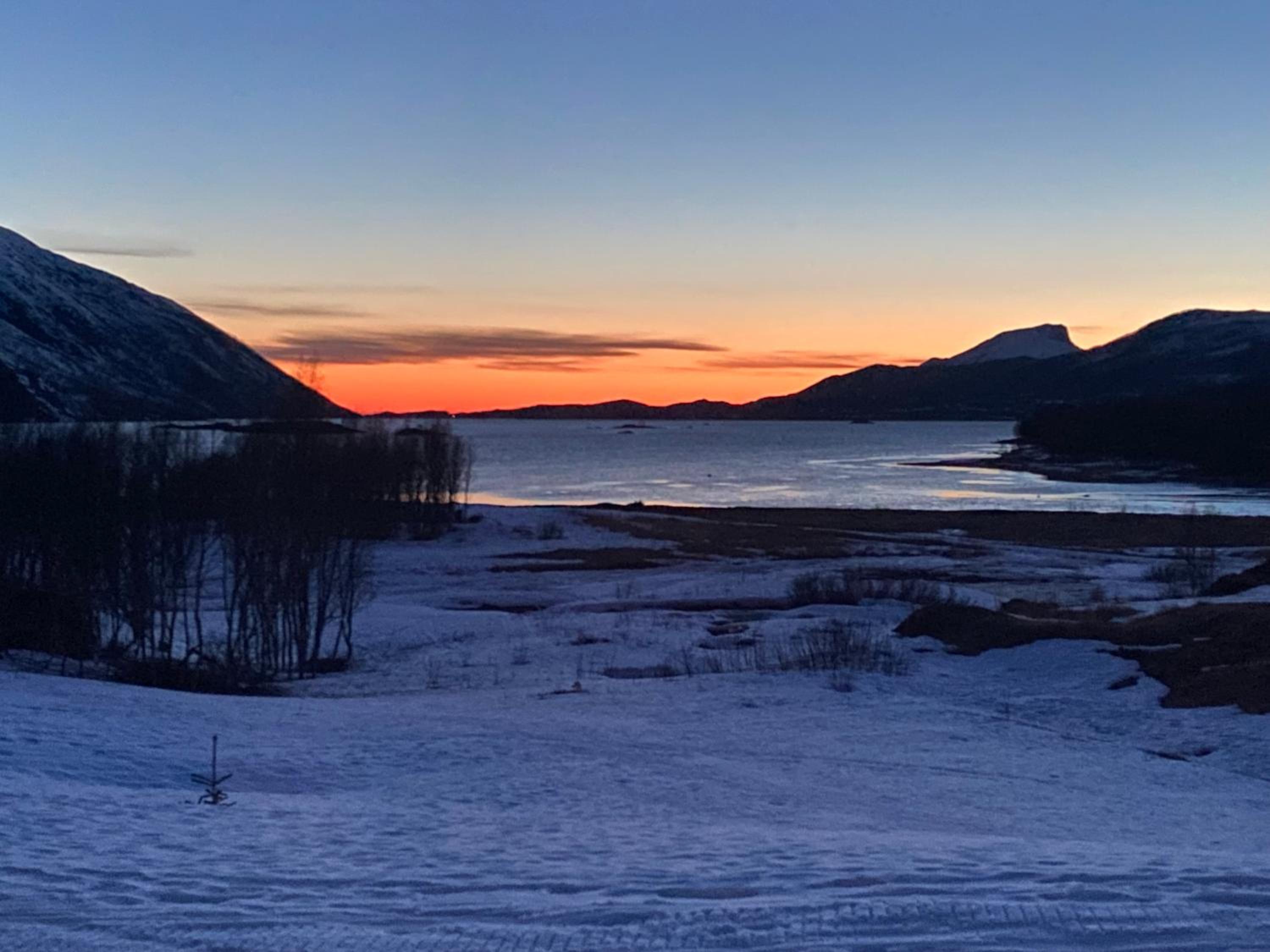 Senja