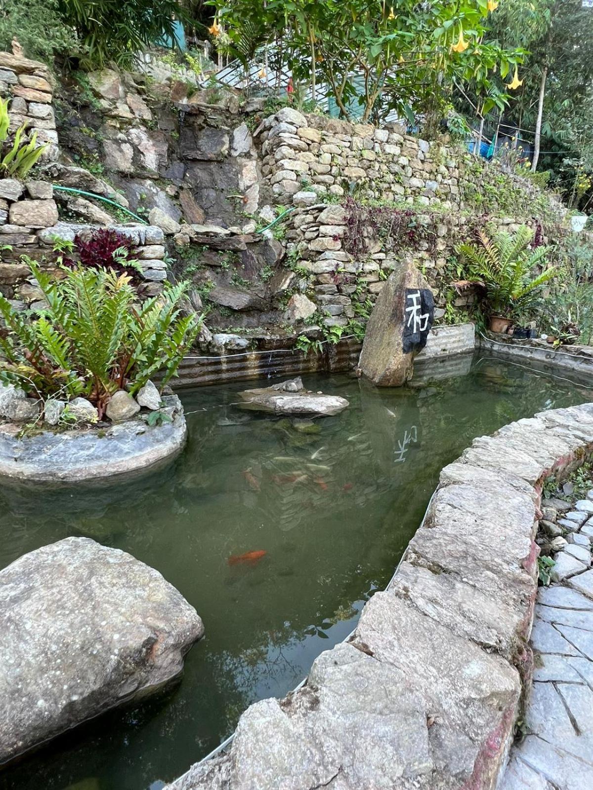 Goldelux Retreat
