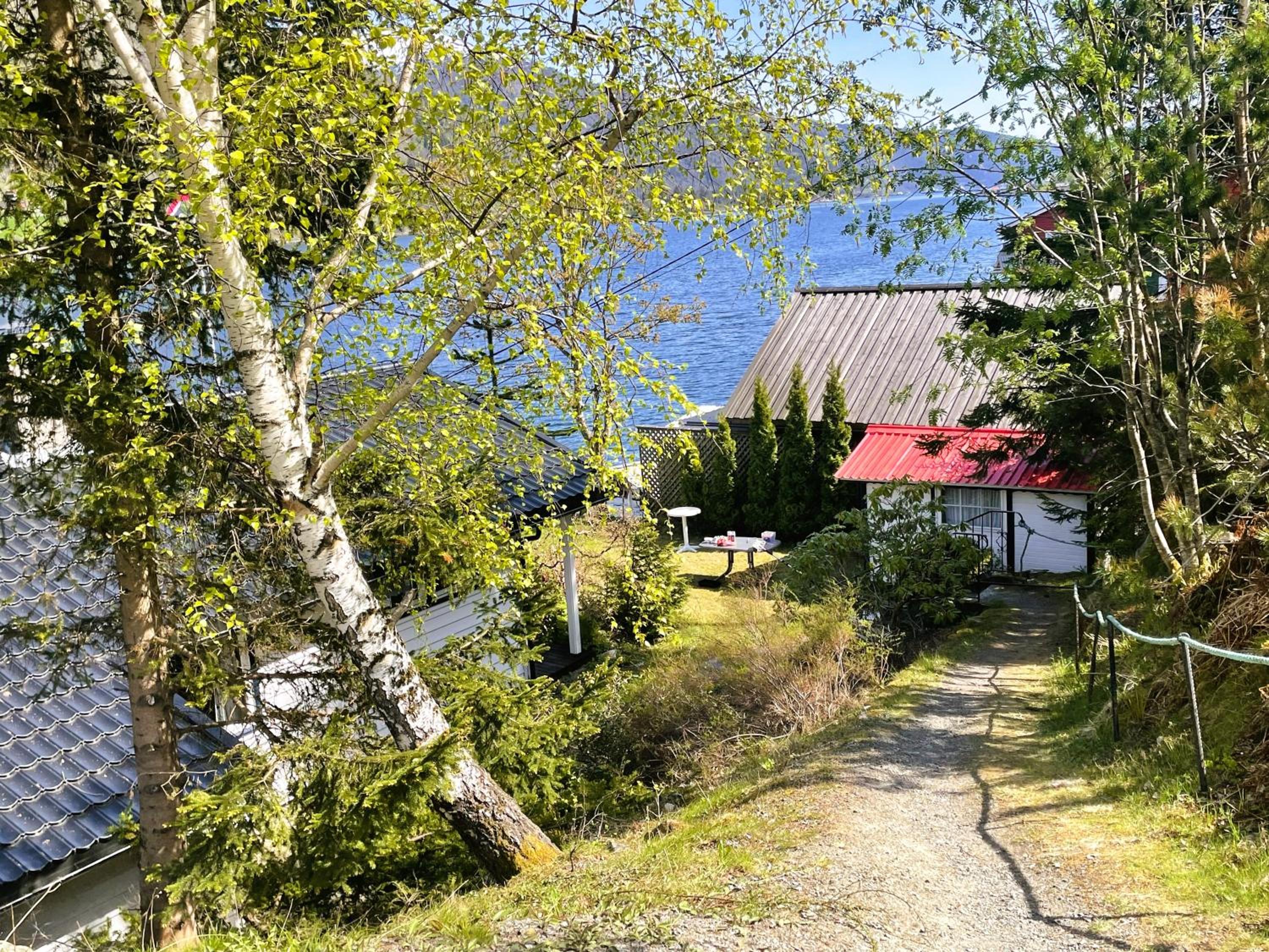 Photo 31