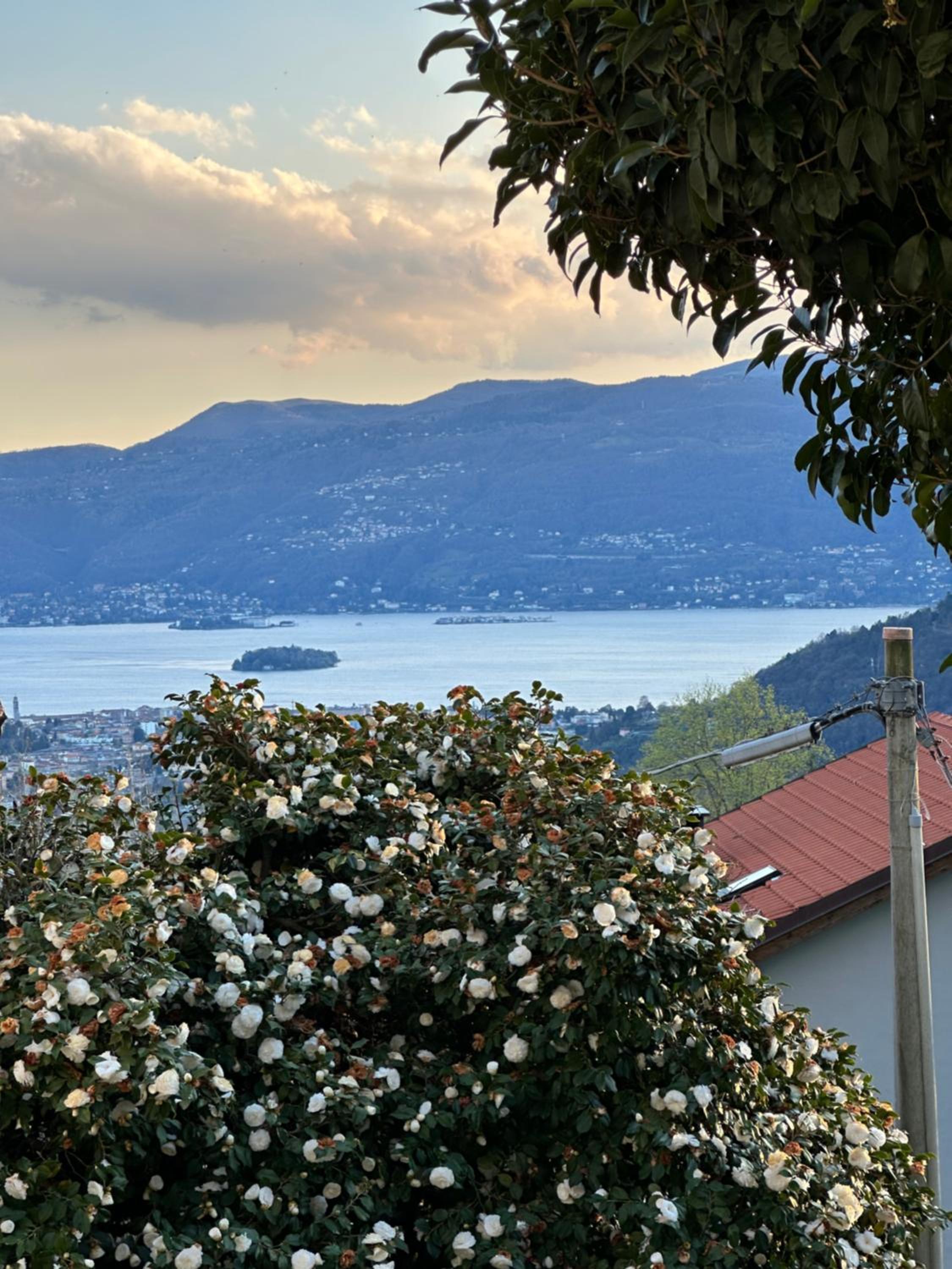 Villa Simonetta