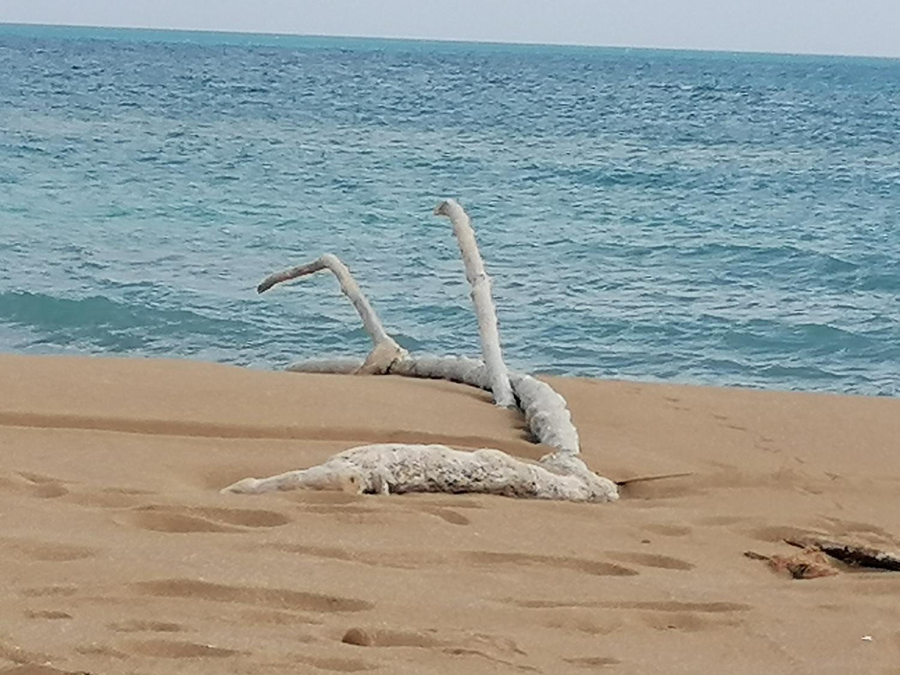 Ca' Libellula Casa Vacanza