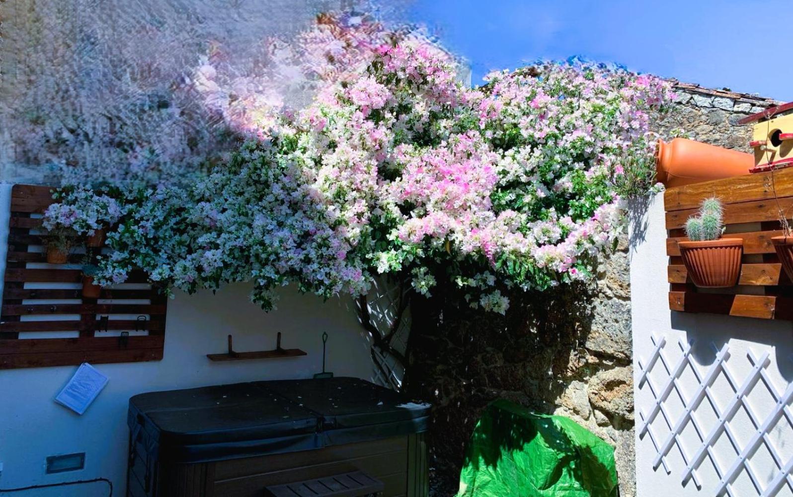 Encanto Casa com Spa Jacuzzi Open Space Castelo Branco