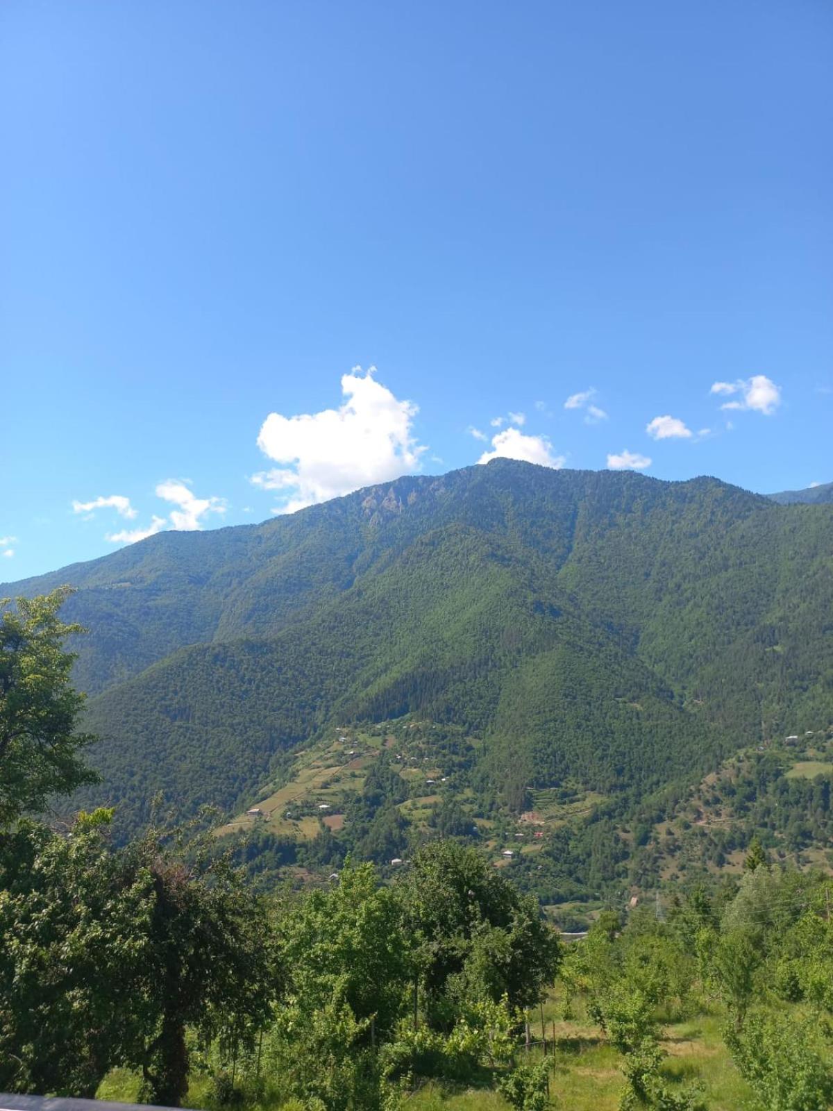 Paradise Keda