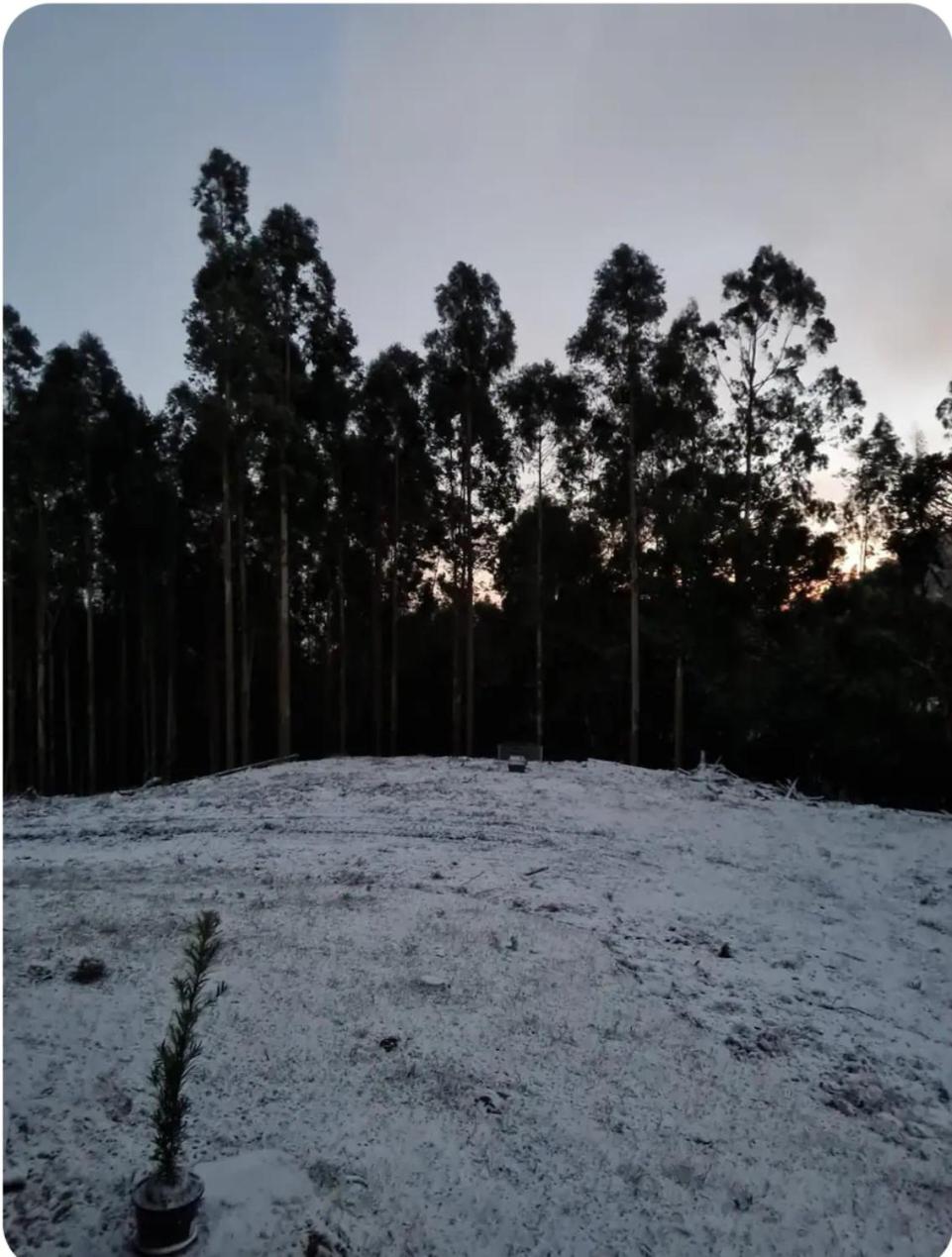 Pousada Recanto da Paz