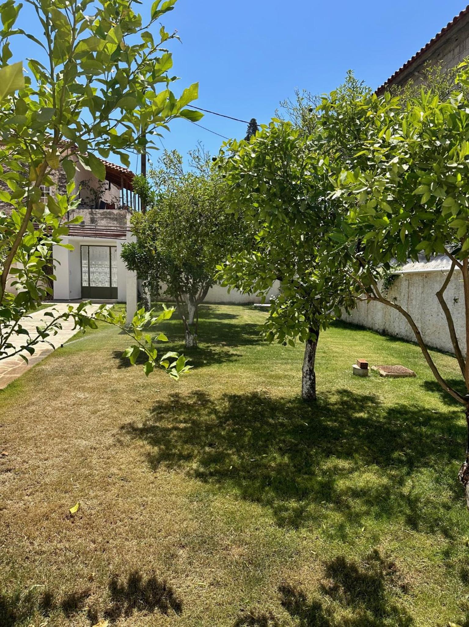 Photo 31