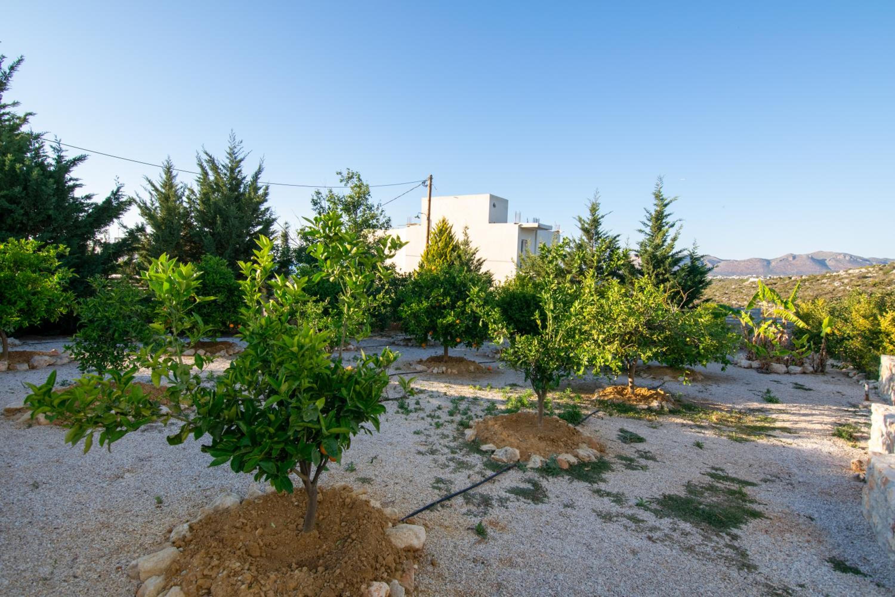 Κatakis Villas