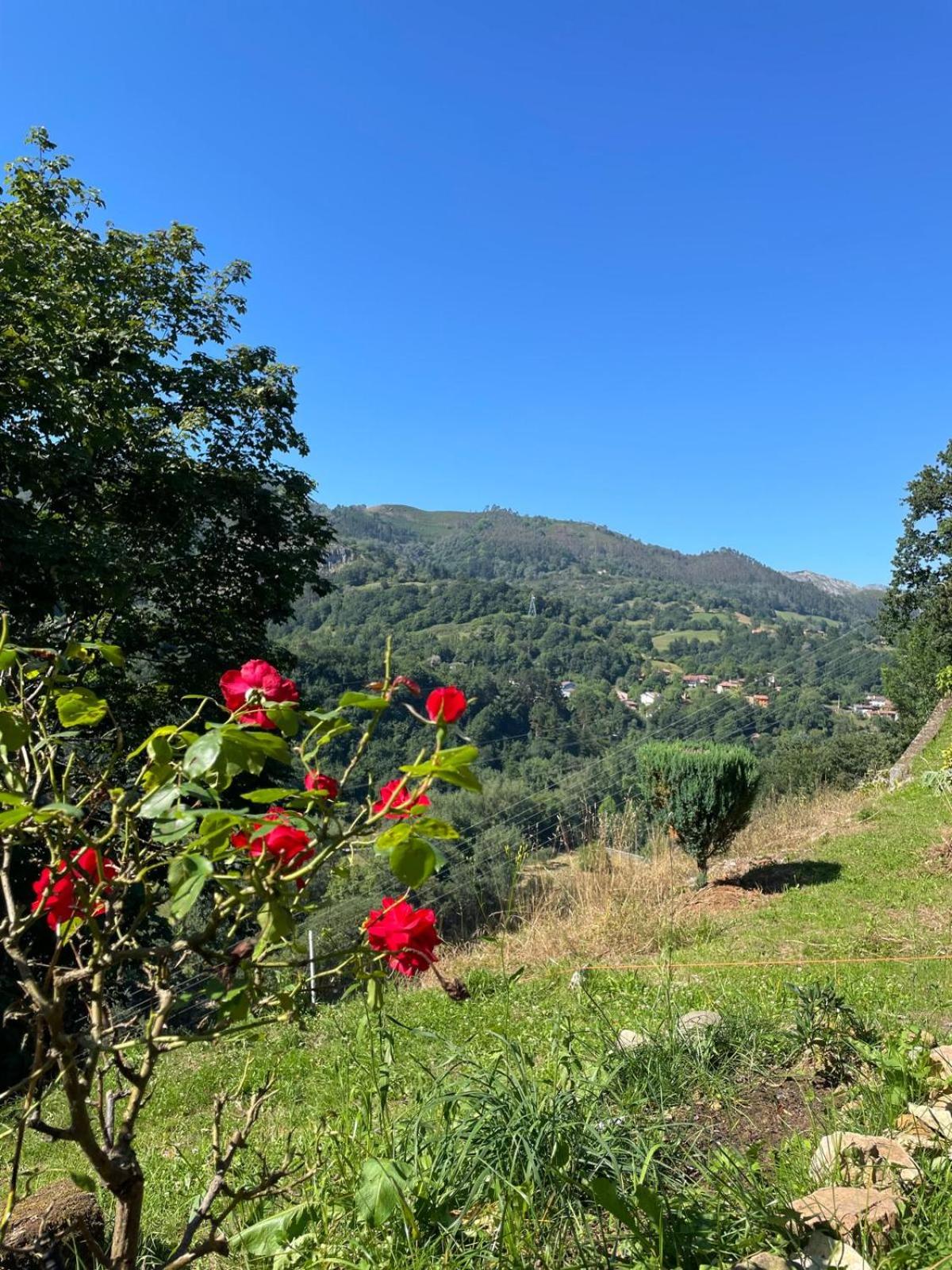 CASA IRIS, tranquilidad a 5' de Cangas de Onís view 4