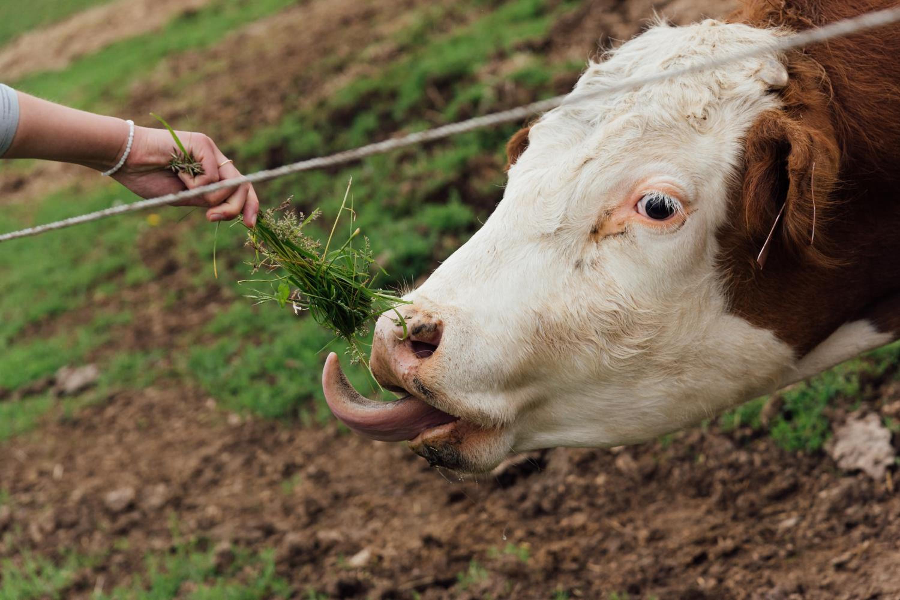 Rekreační a jezdecký areál Equifarm