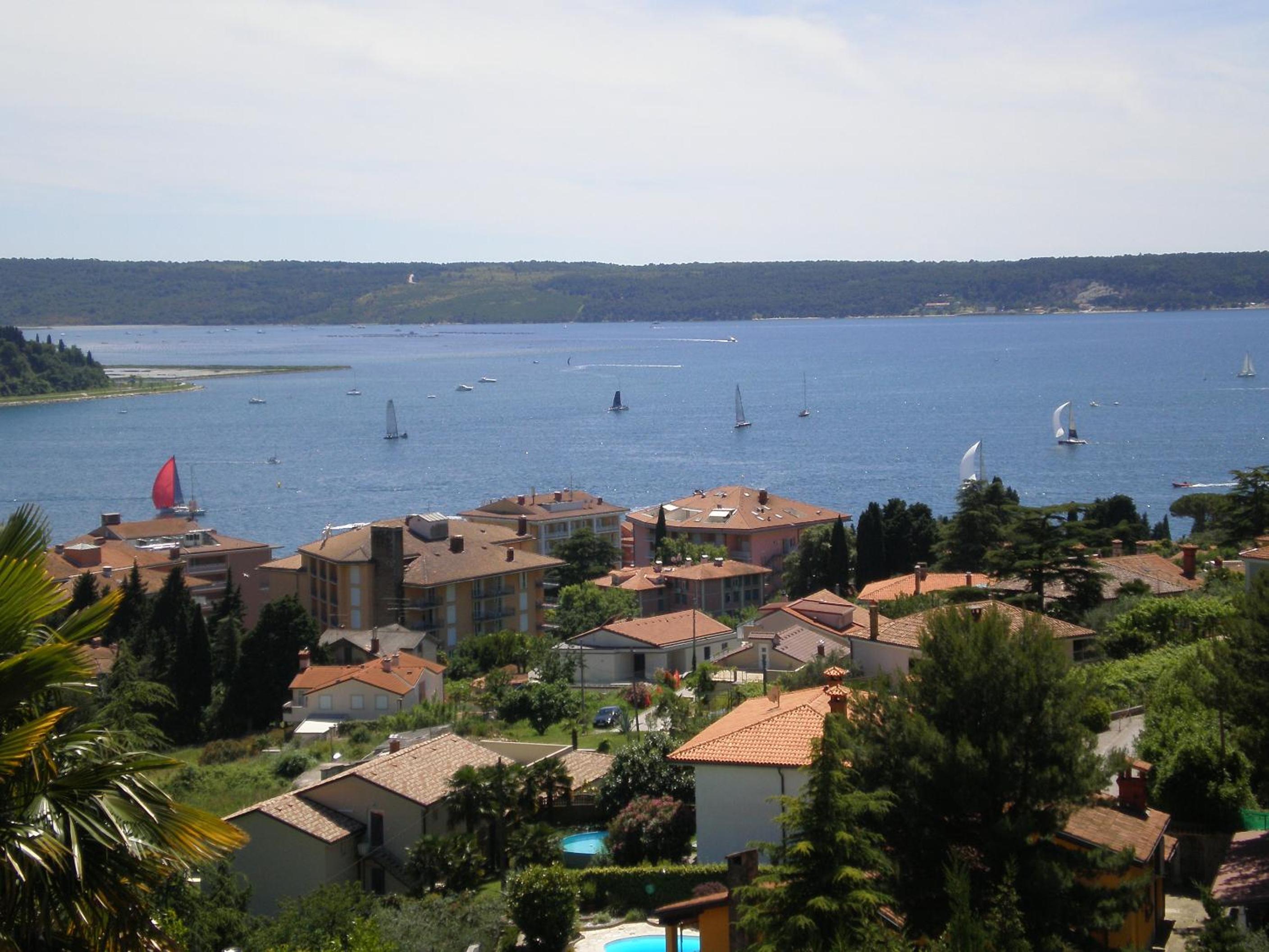 Photo 40