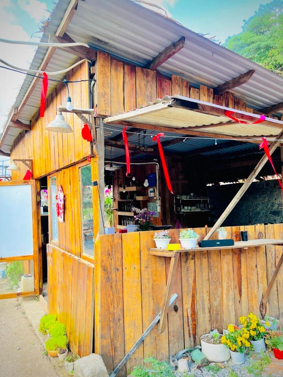 Thiên Thảo Homestay