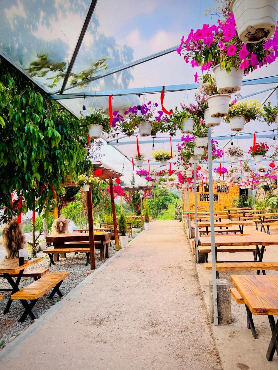 Thiên Thảo Homestay