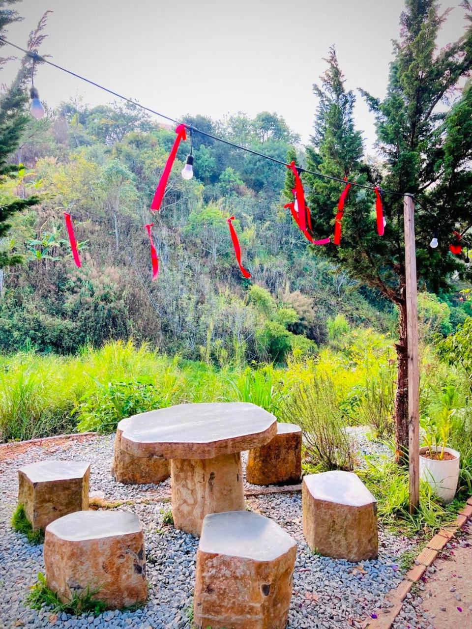 Thiên Thảo Homestay