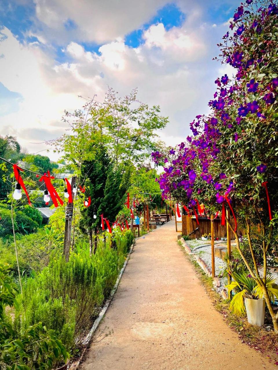 Thiên Thảo Homestay
