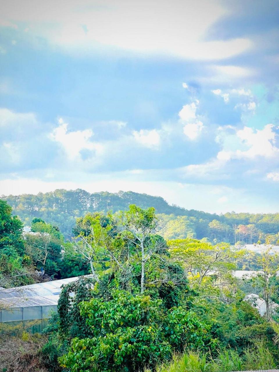 Thiên Thảo Homestay