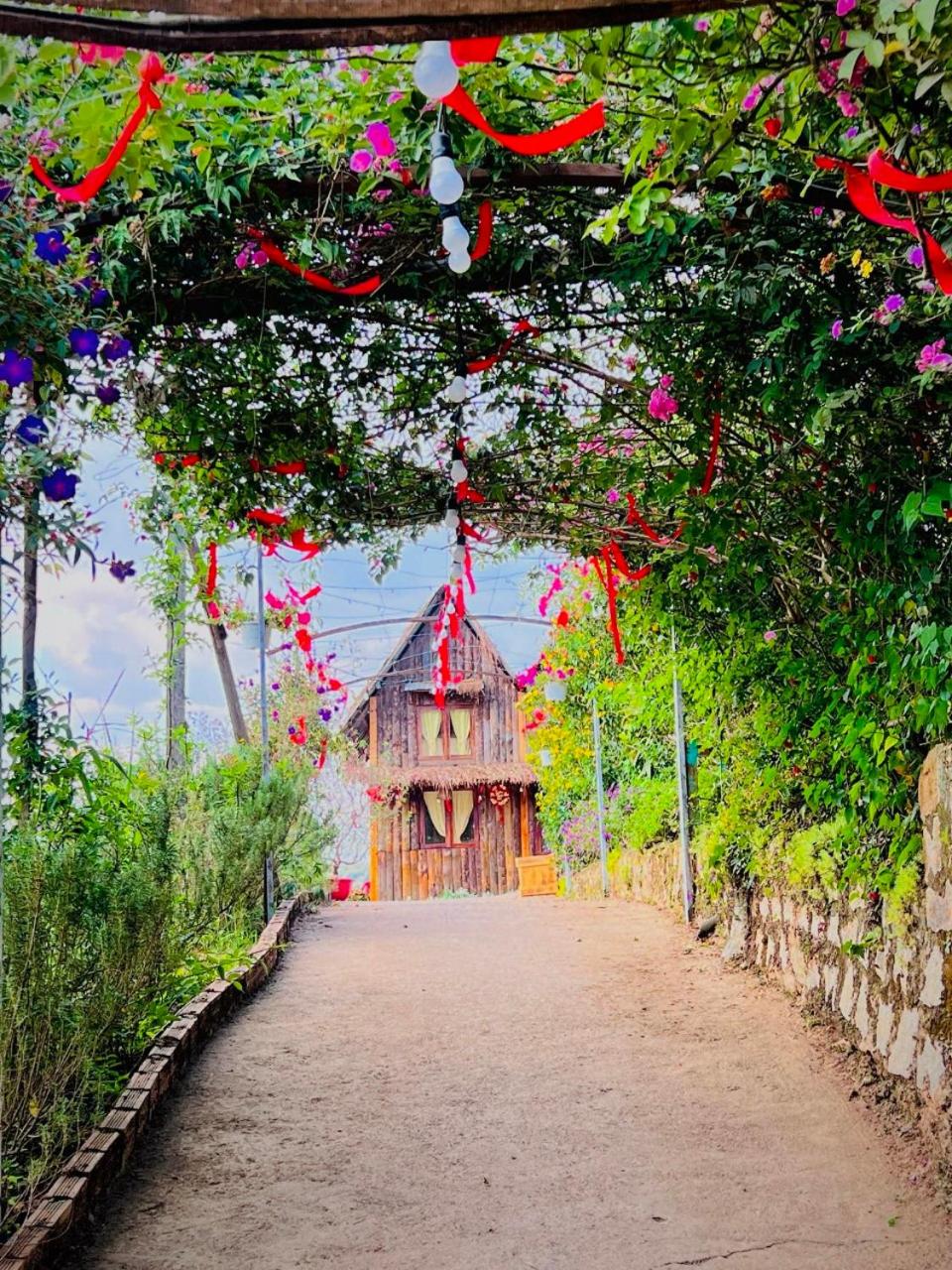 Thiên Thảo Homestay
