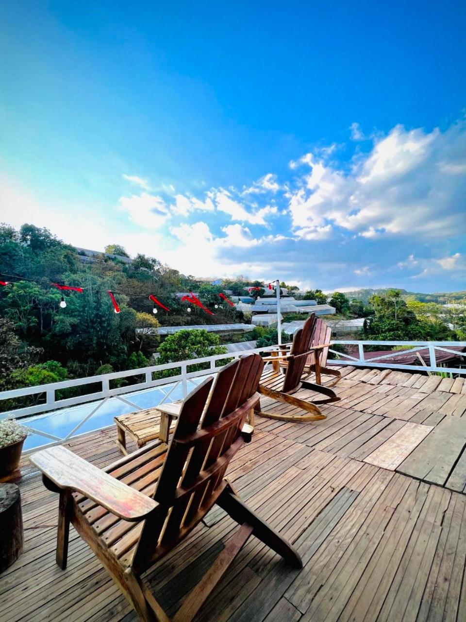 Thiên Thảo Homestay