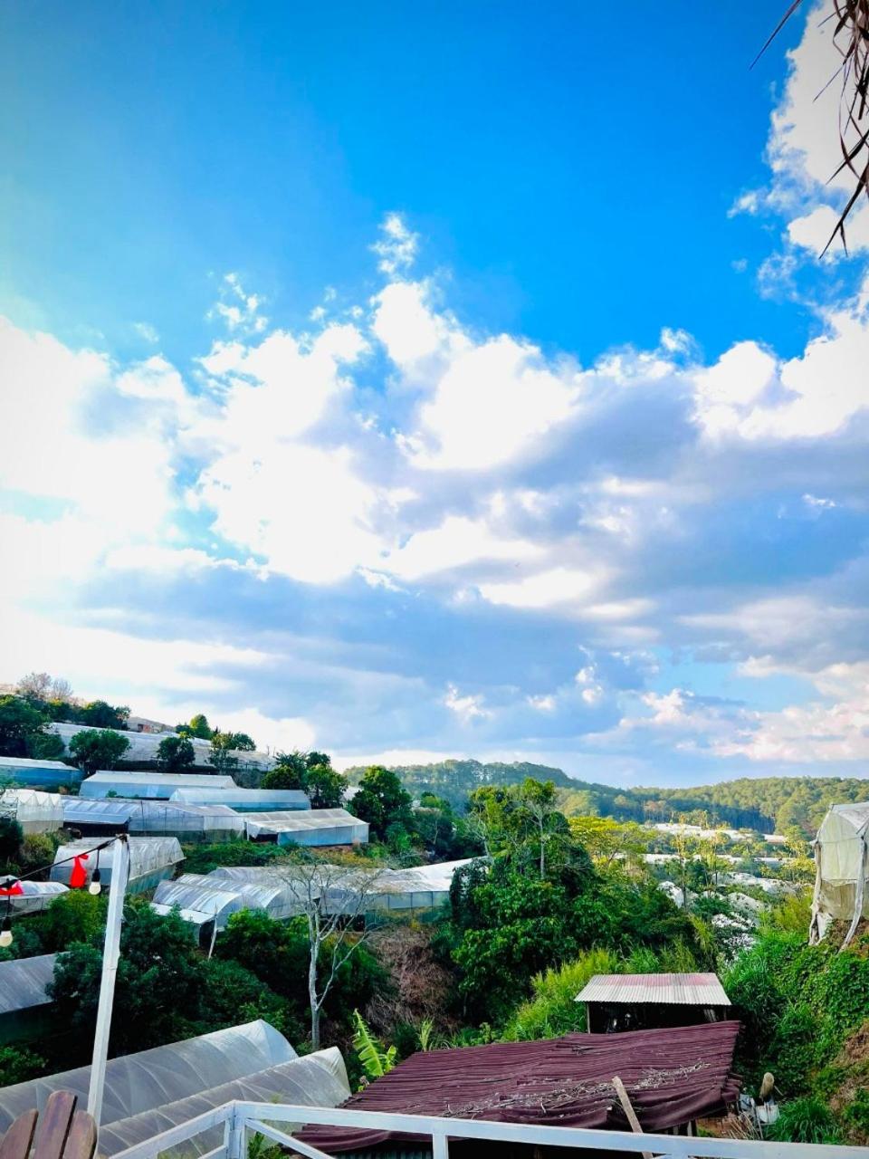 Thiên Thảo Homestay