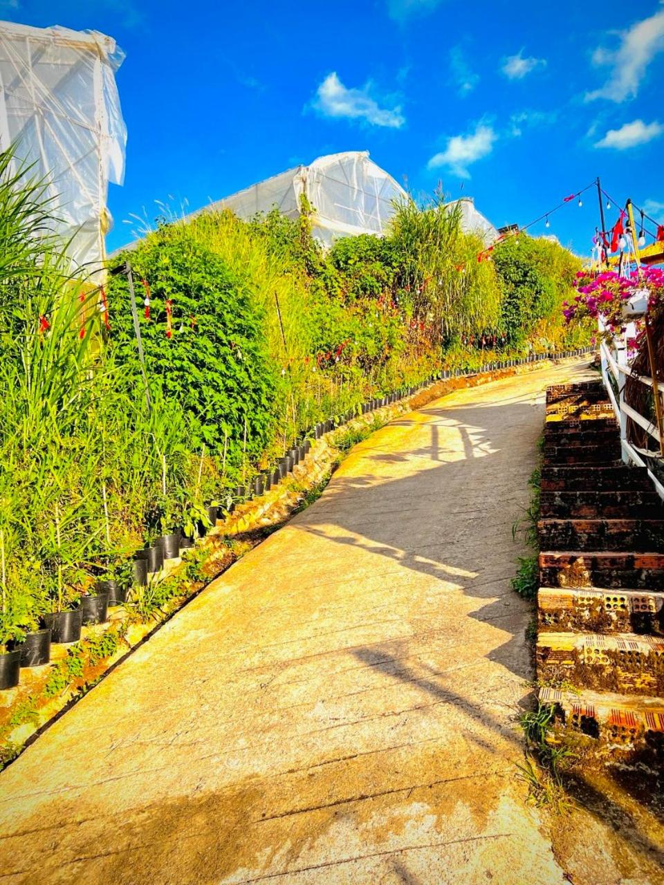 Thiên Thảo Homestay