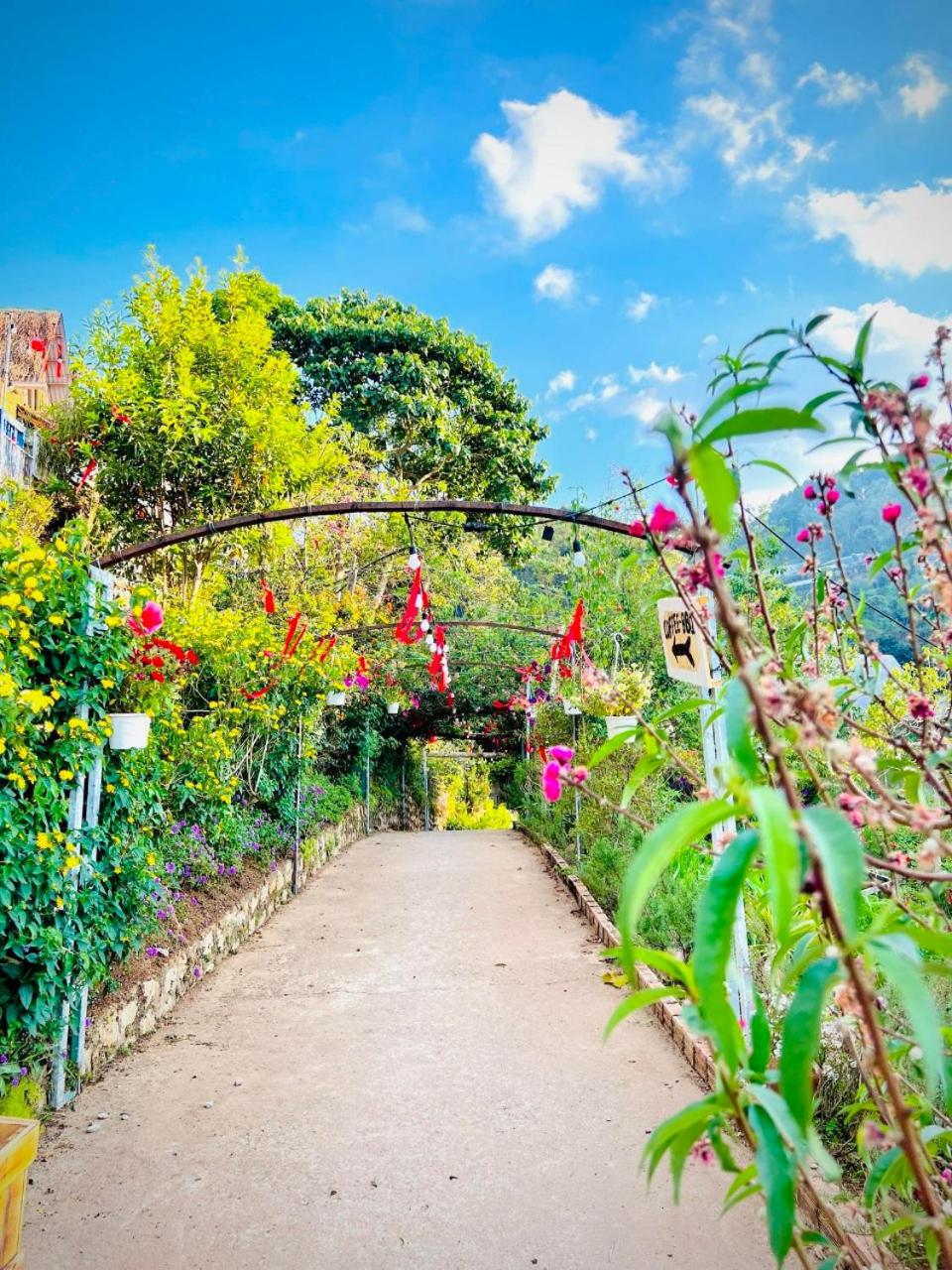 Thiên Thảo Homestay