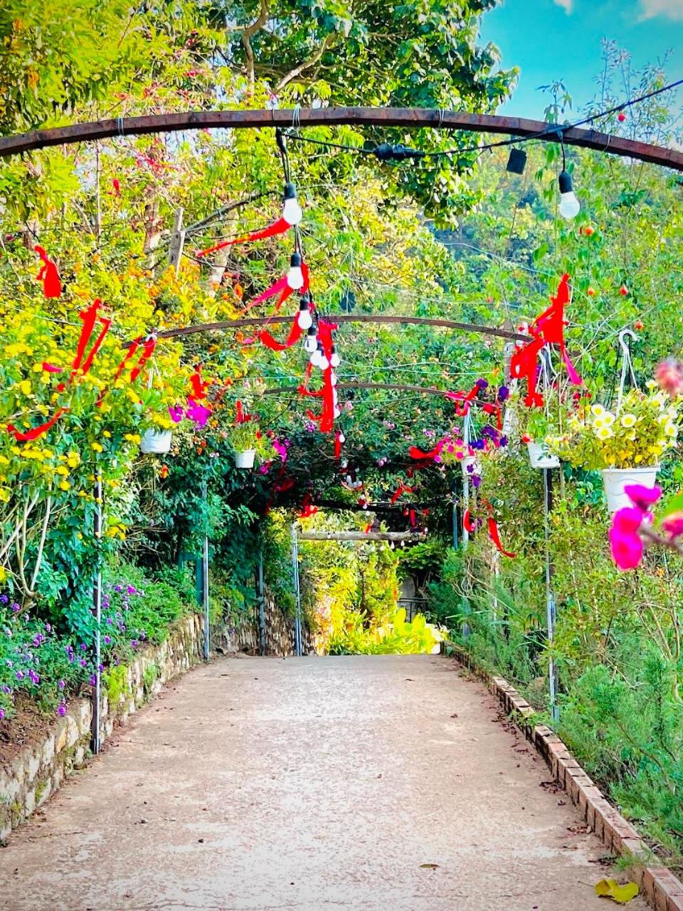 Thiên Thảo Homestay