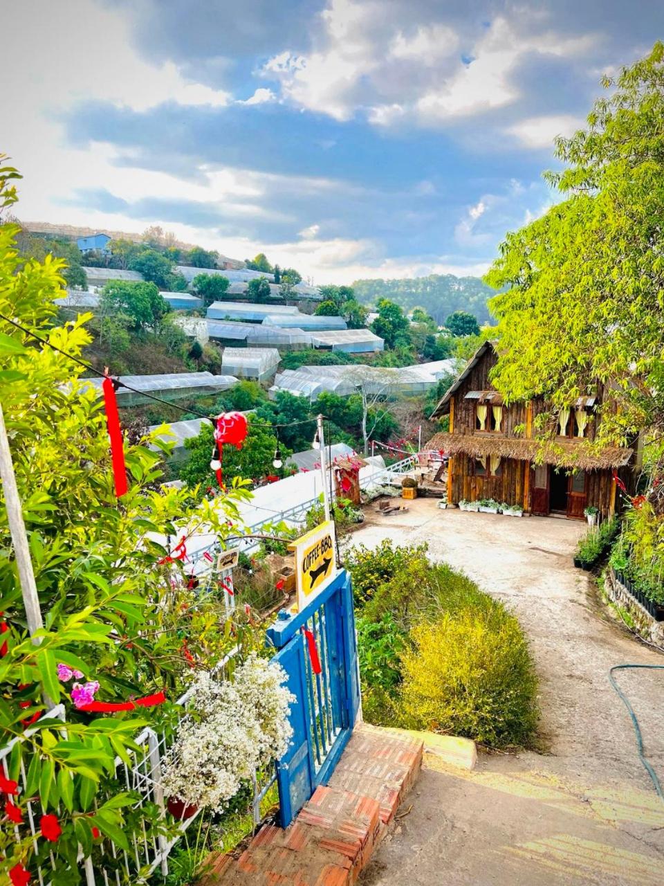 Thiên Thảo Homestay