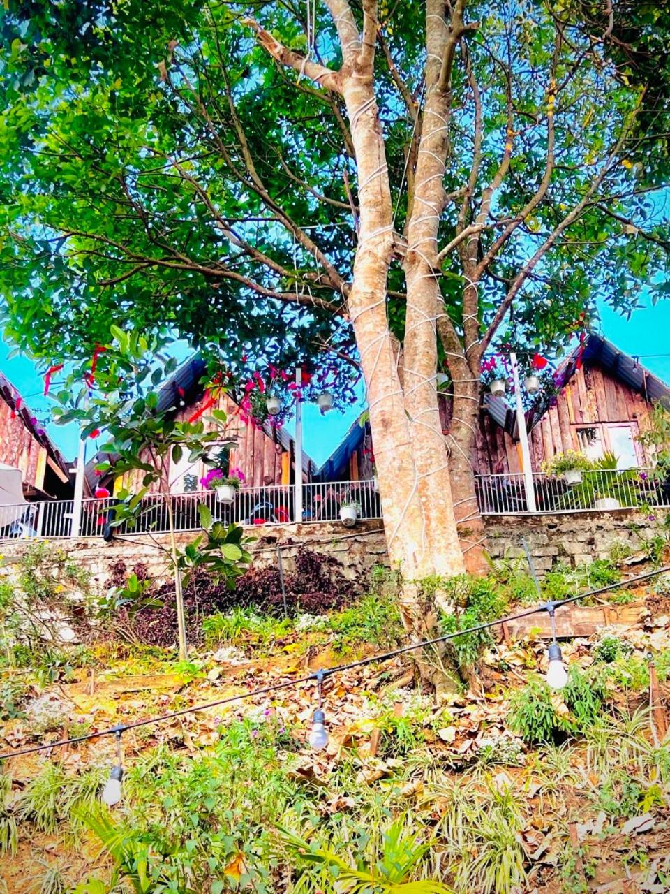 Thiên Thảo Homestay