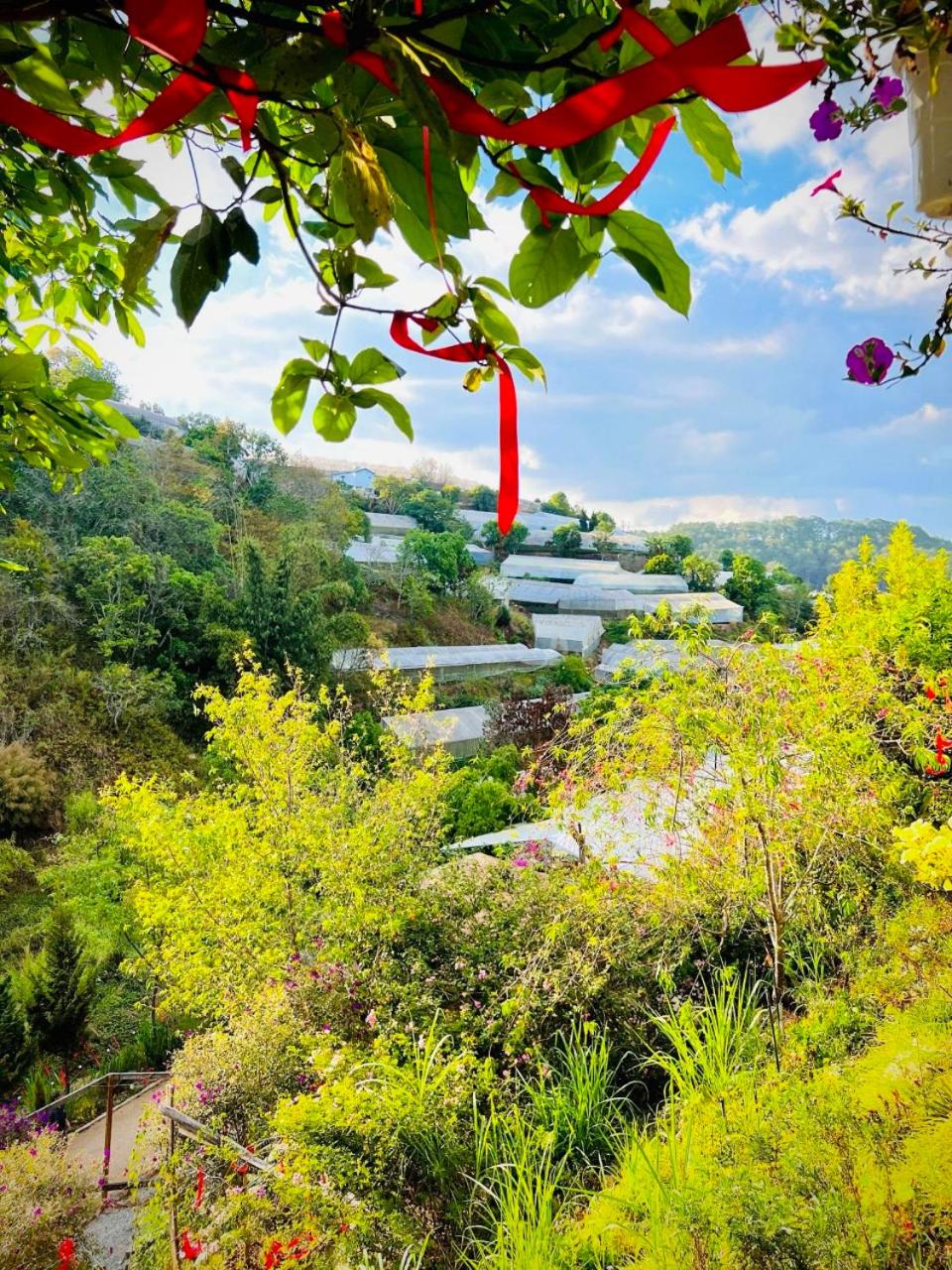 Thiên Thảo Homestay