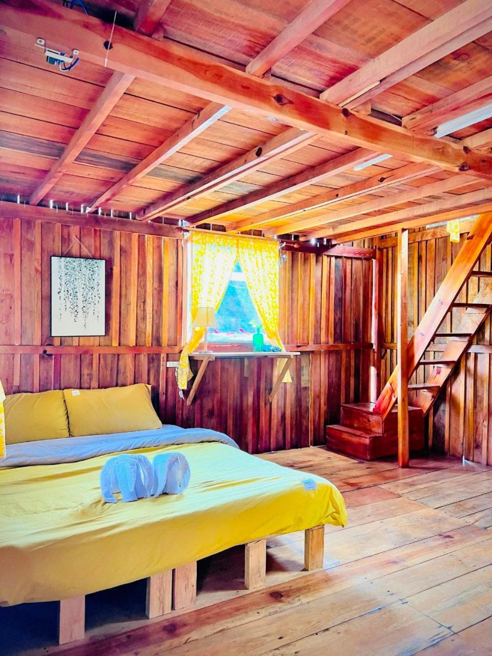Thiên Thảo Homestay