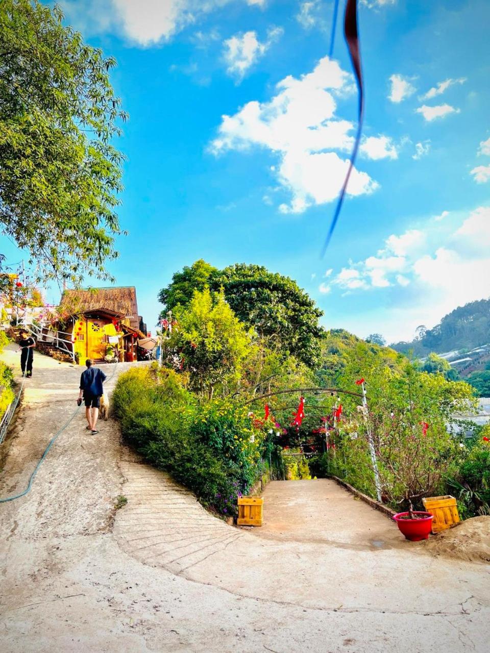 Thiên Thảo Homestay
