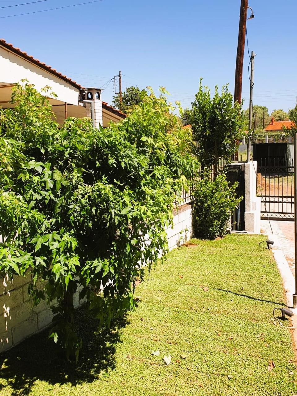 VILLA ARHONTIKO