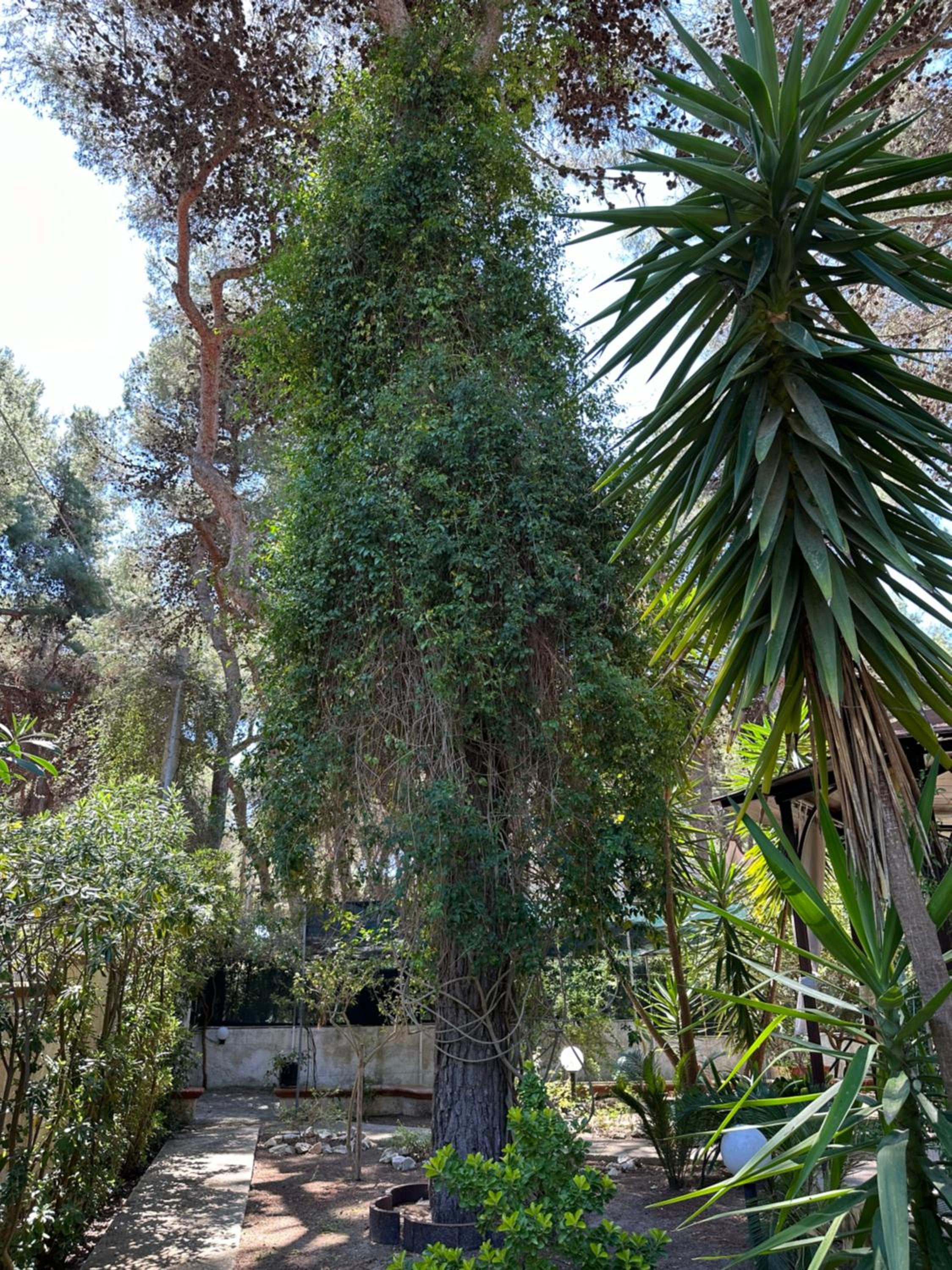 Villa Lido Silvana, Marina di Pulsano Taranto