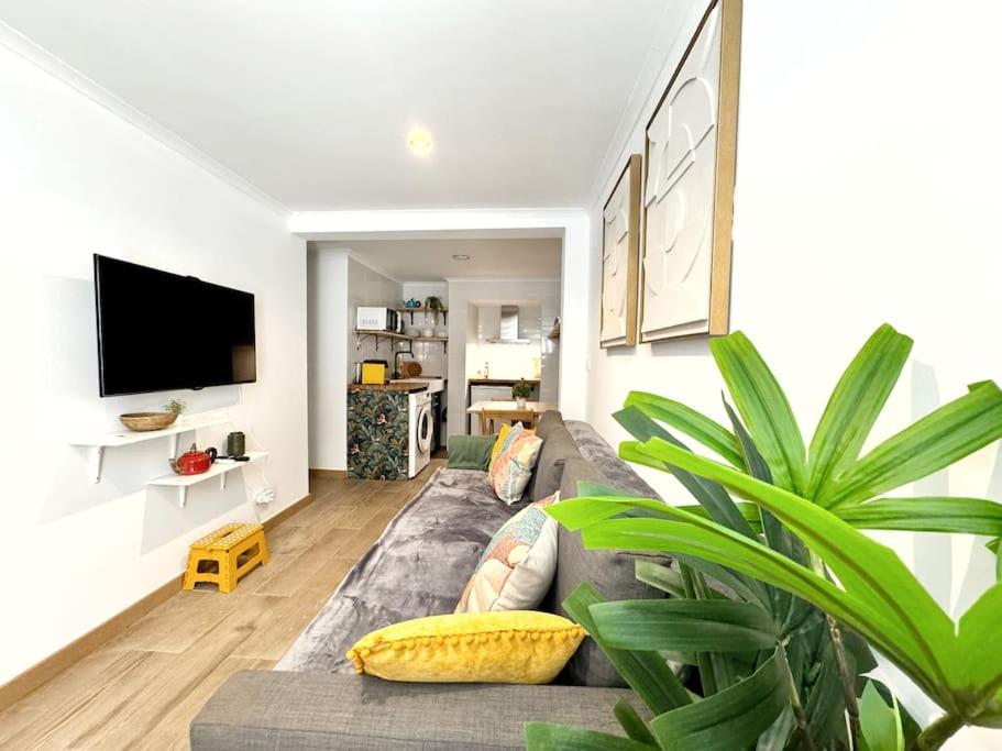 Botanique Studio - up to 3 by Homeful Homes view 5