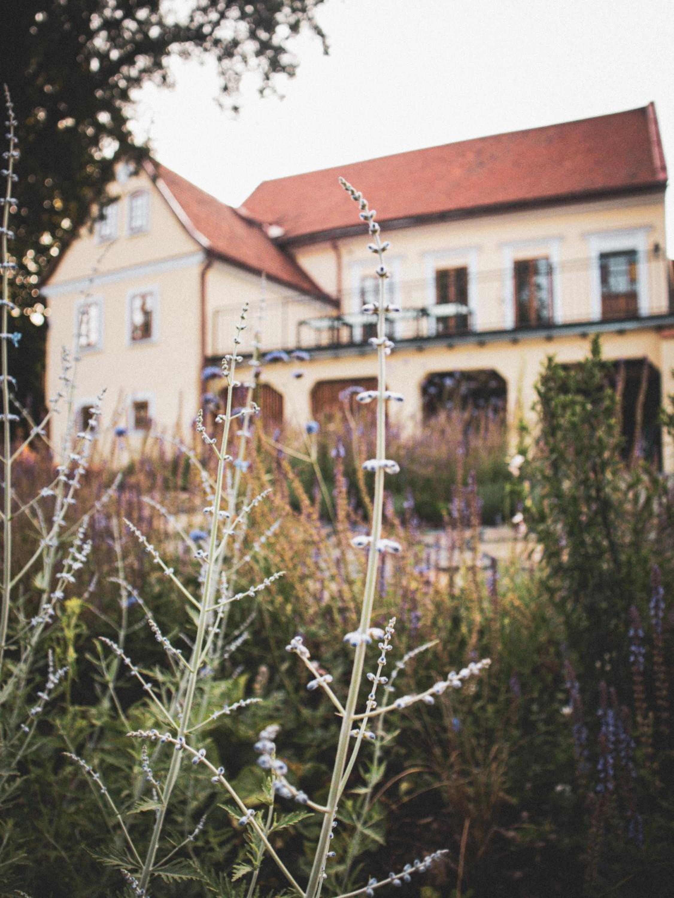 Vila Louka
