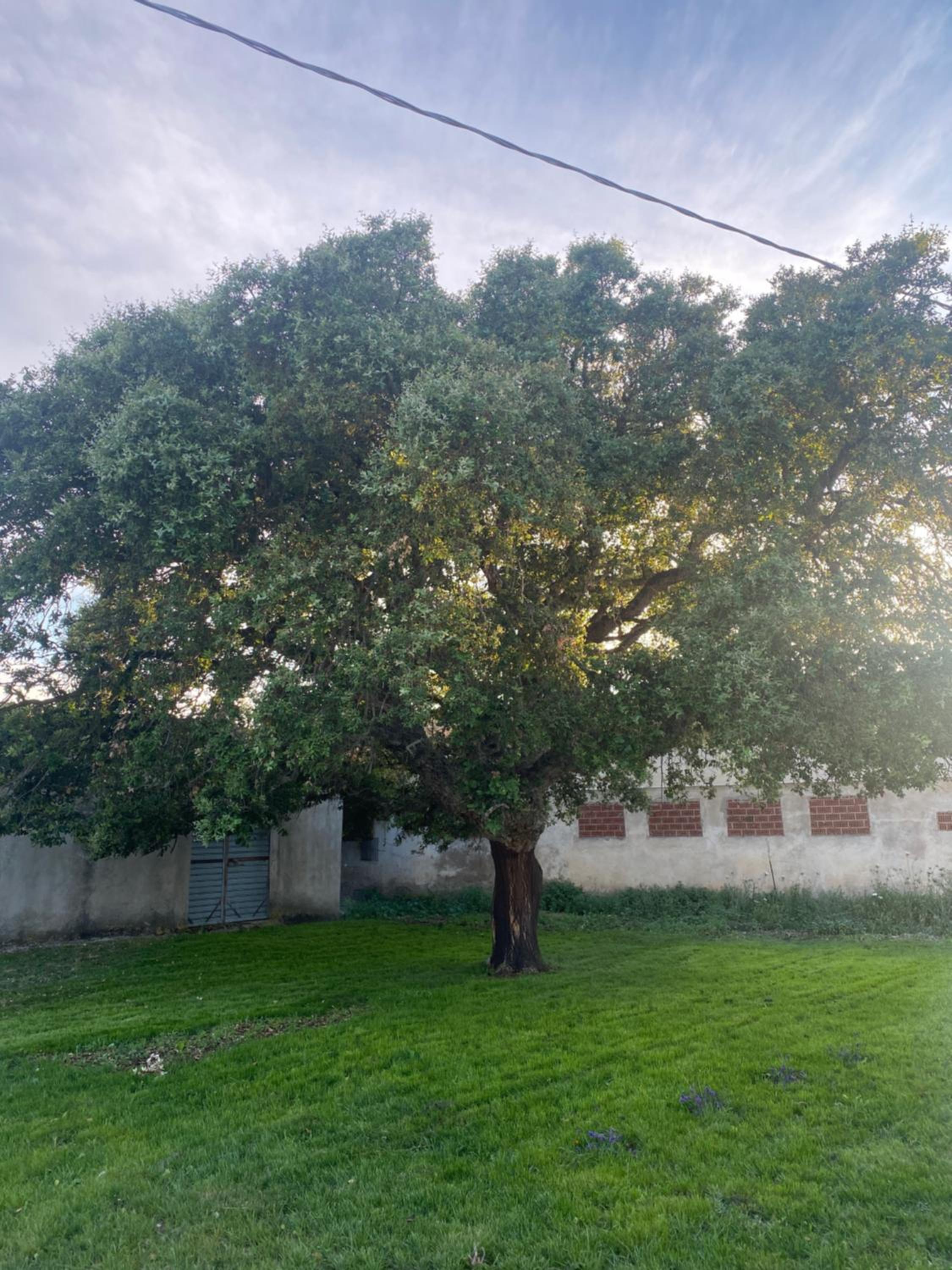 Il Vecchio Casale B&B
