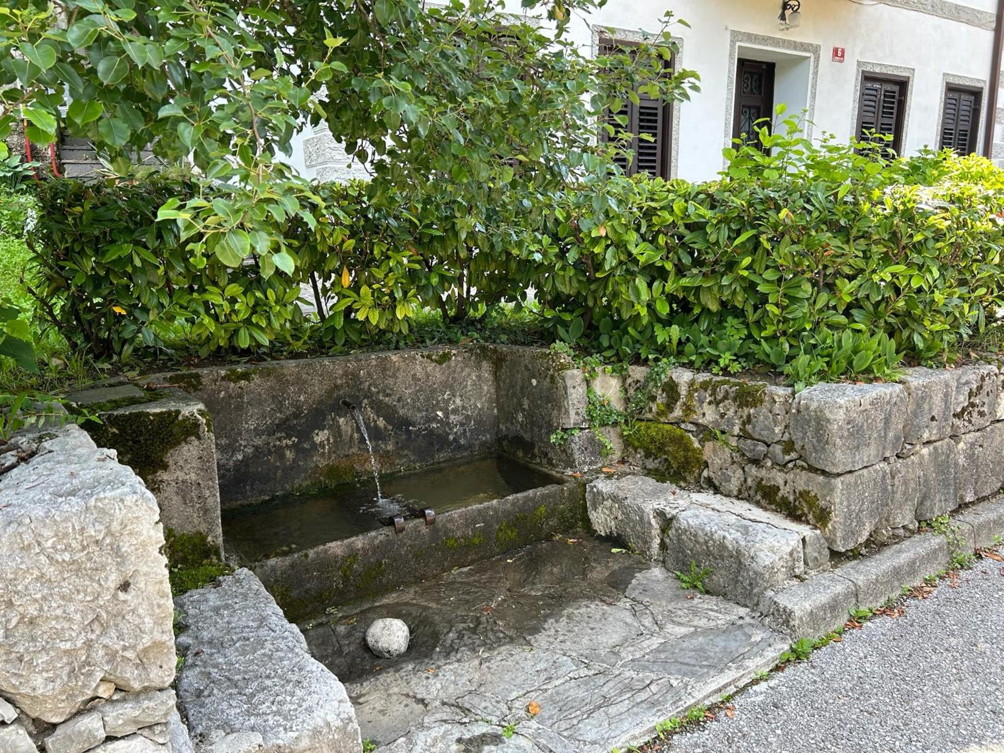 Photo 31