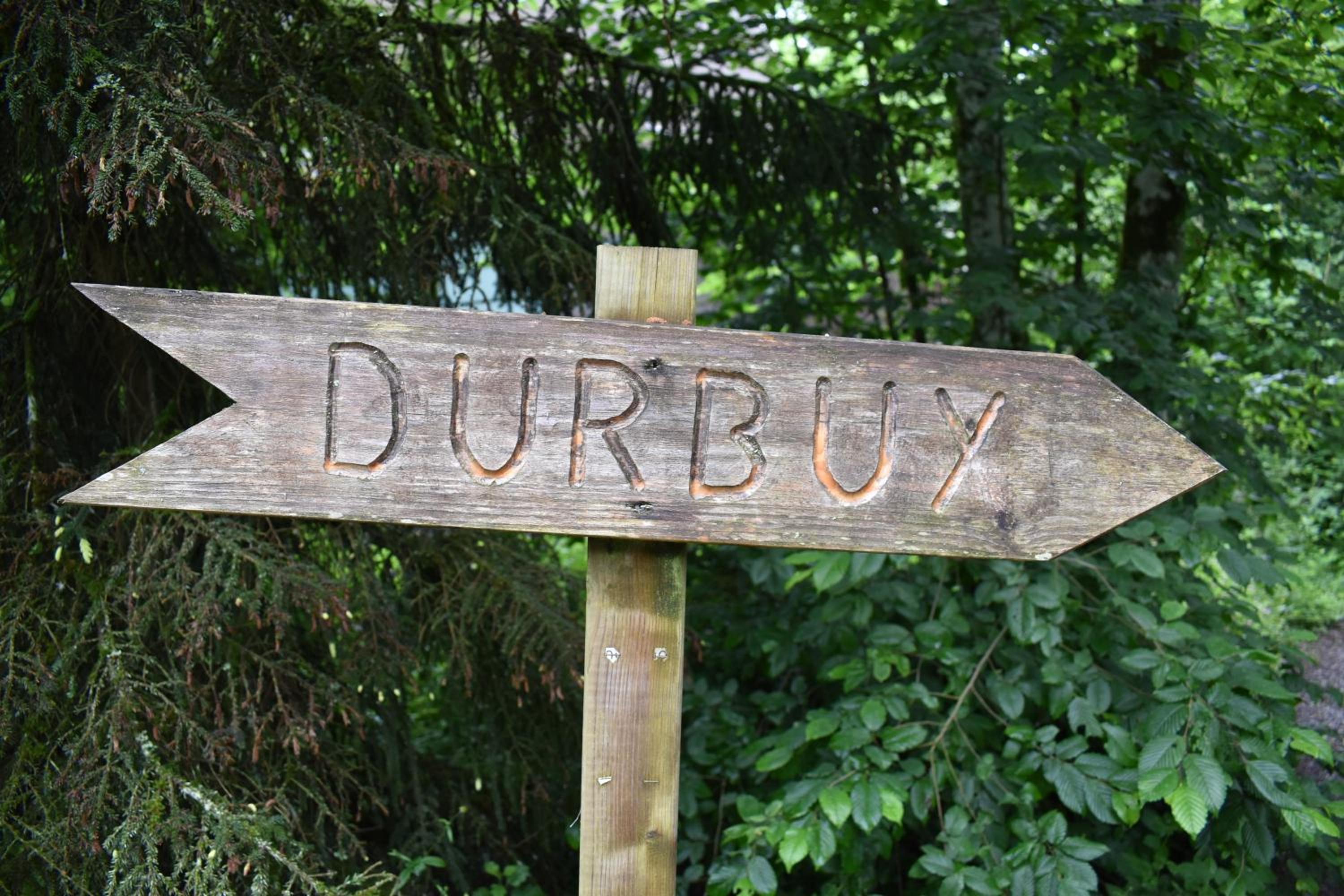 Forest Lodge Durbuy
