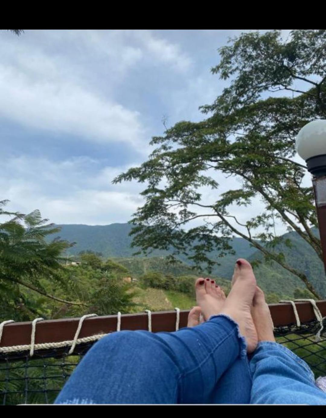 FINCA HOTEL Los AZAHARES