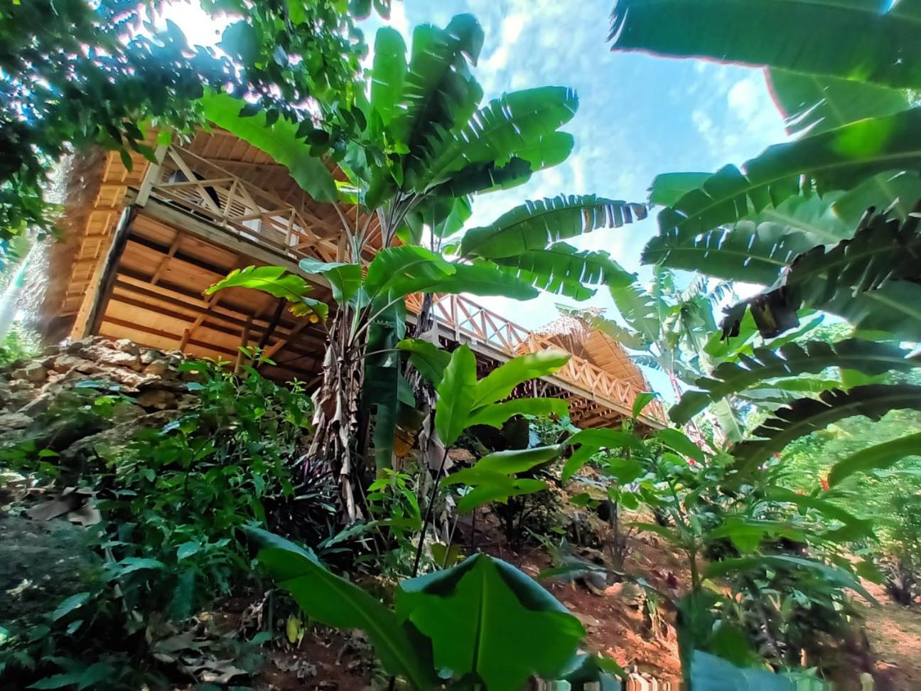 Hotel Samo Eco Lodge - Image 1