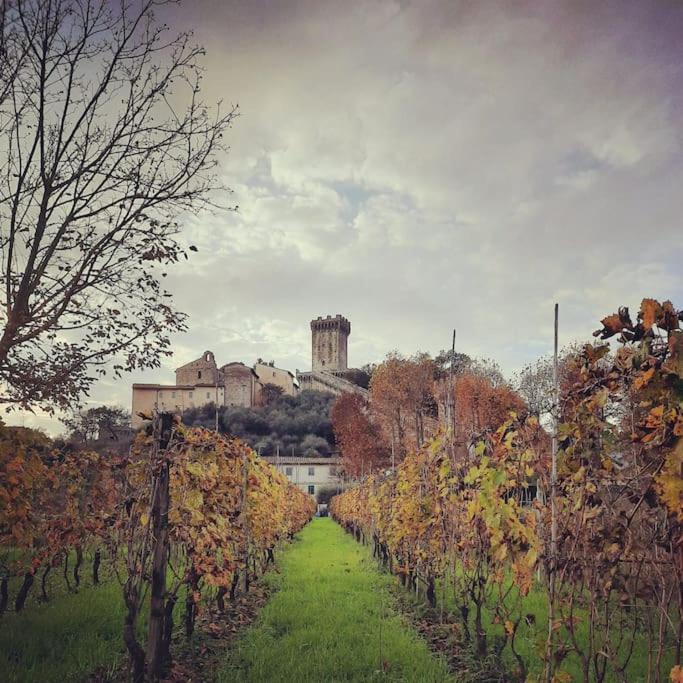 Il Rustico Vicopisano view 2