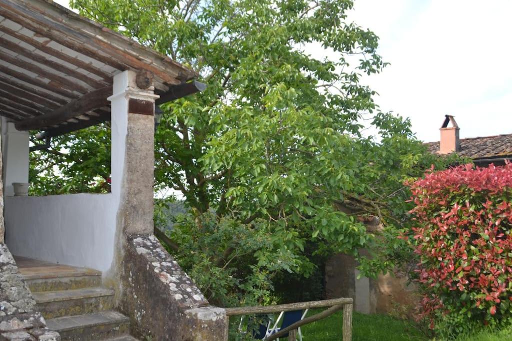 Il Rustico Vicopisano view 3