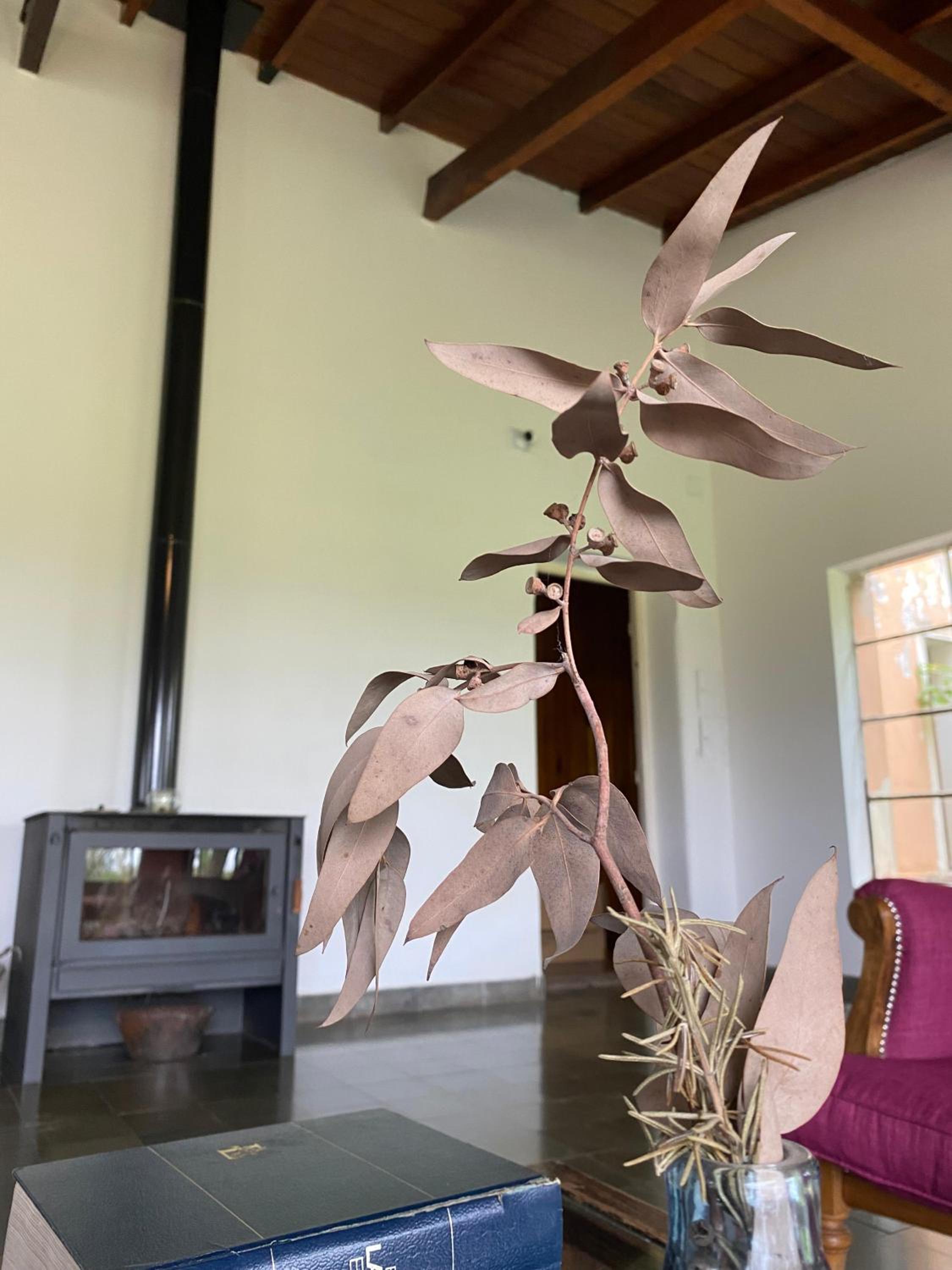 El Búho - Hospedaje en Casa de Campo