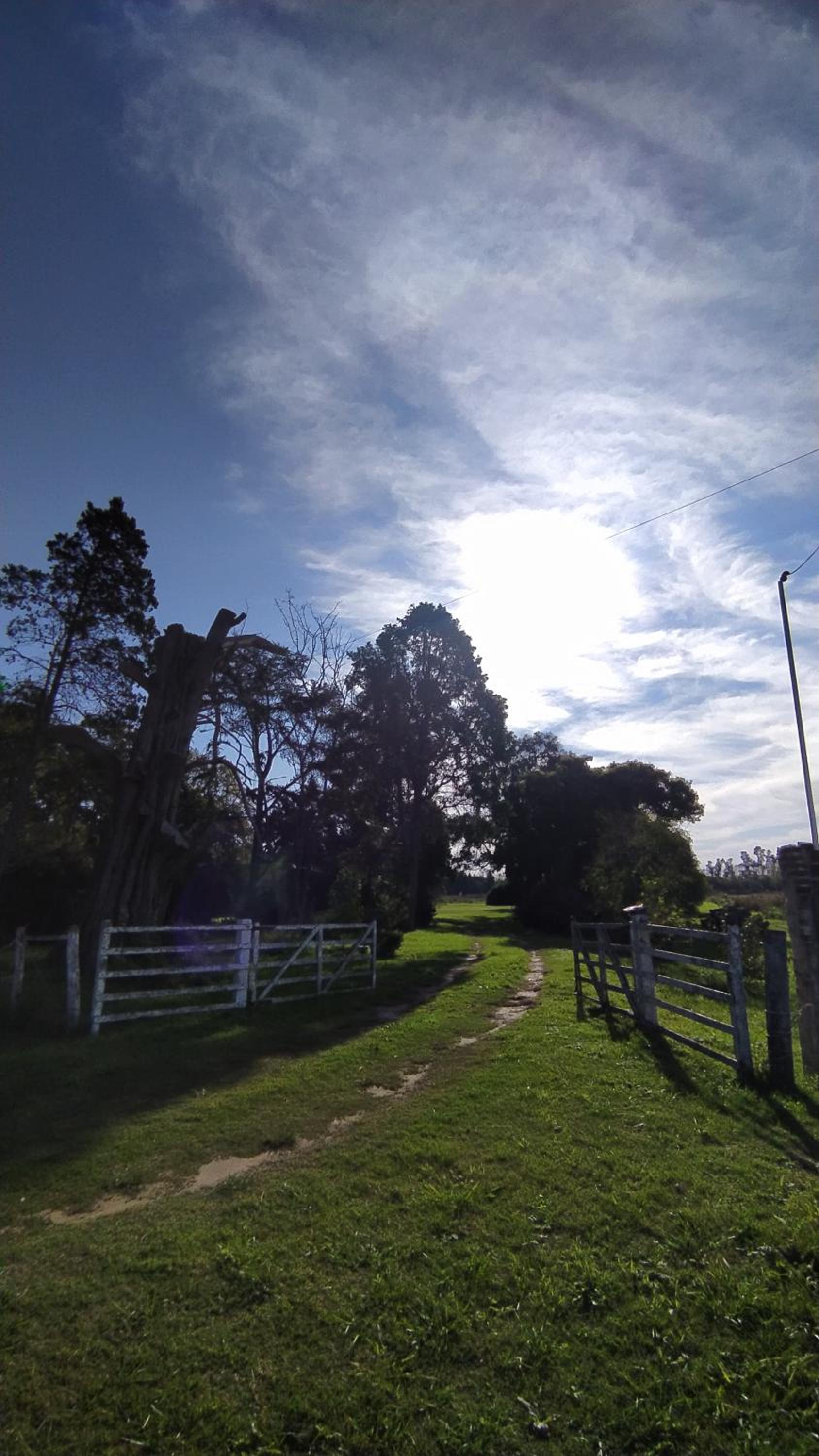 El Búho - Hospedaje en Casa de Campo