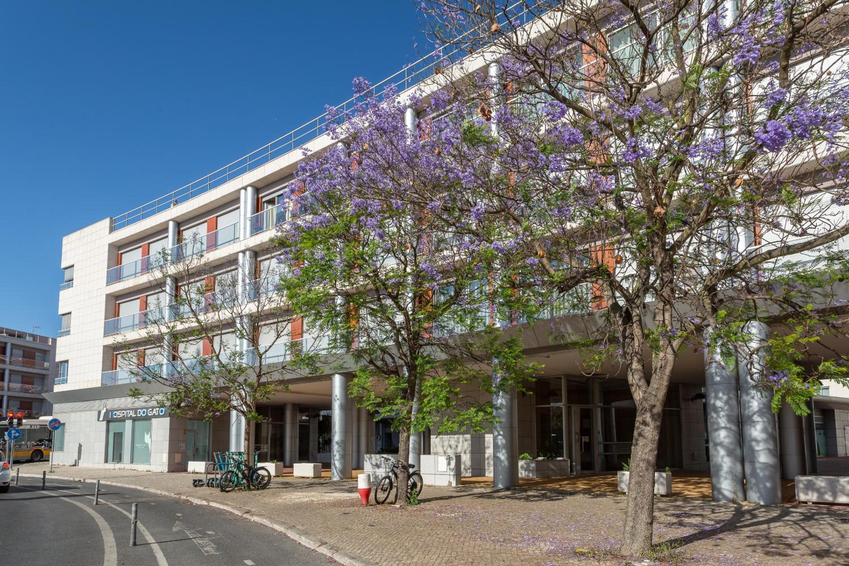 BeGuest Premium Lisbon Suites