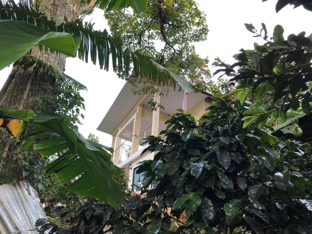 FINCA HOTEL Los AZAHARES
