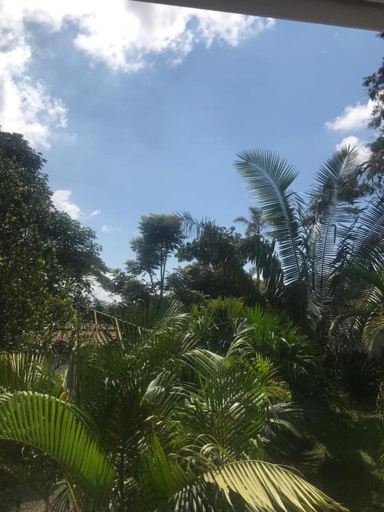 FINCA HOTEL Los AZAHARES
