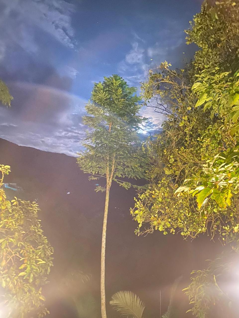 FINCA HOTEL Los AZAHARES