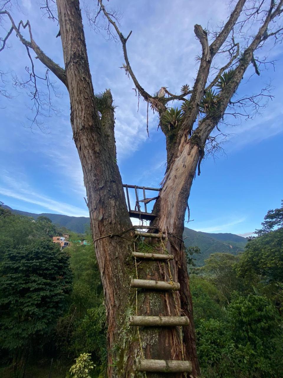 FINCA HOTEL Los AZAHARES
