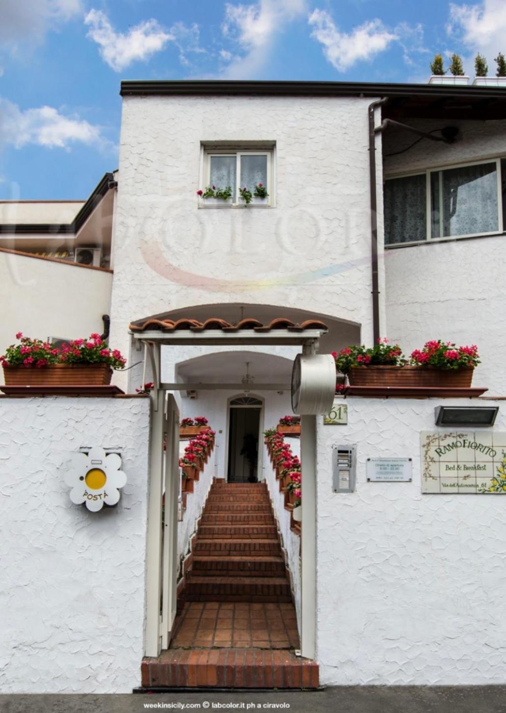 RAMO FIORITO photo 5